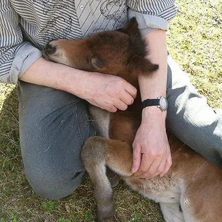 Thalerhof Pensionat 3*