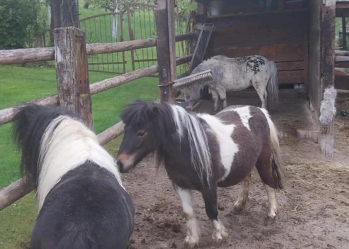 Thalerhof Гостевой дом 3*